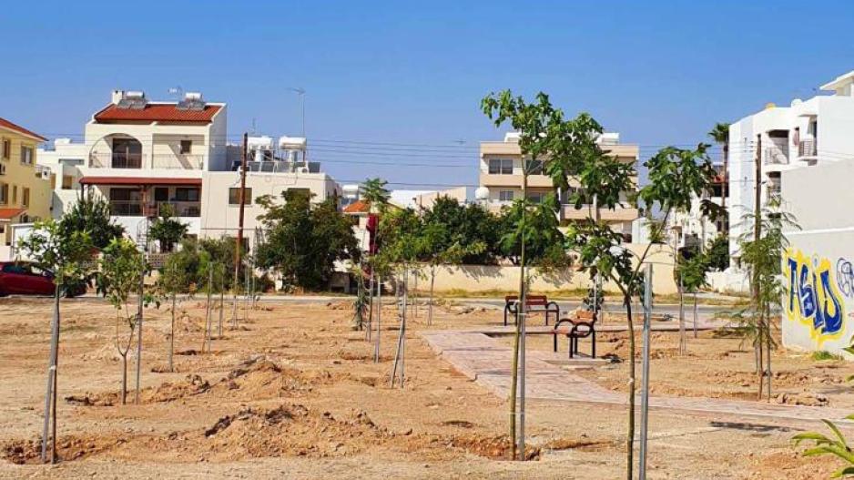 Λάρνακα: Εθελοντές στη δεντροφύτεψαν χώρο πρασίνου