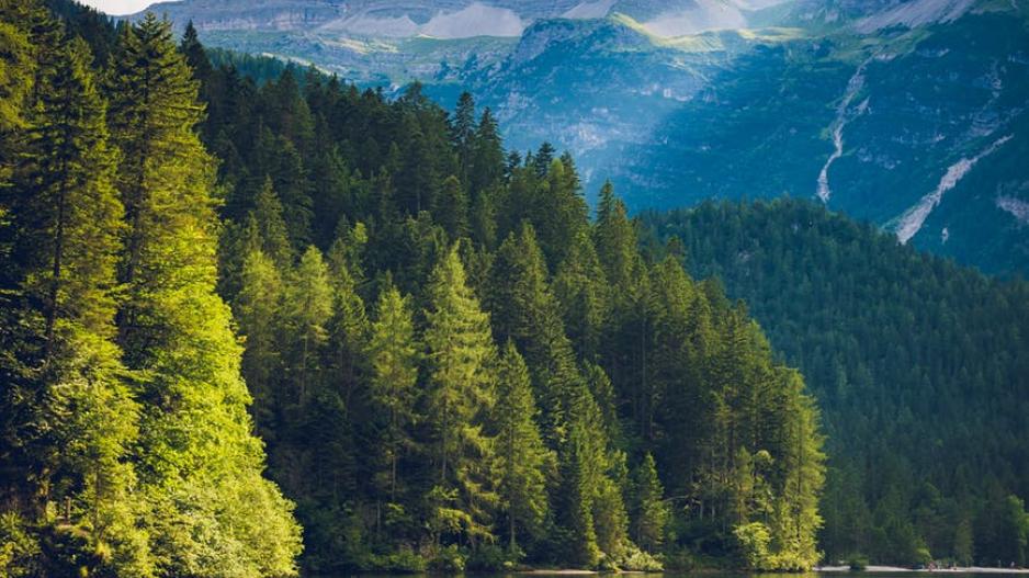 Βραβείο Natura 2000