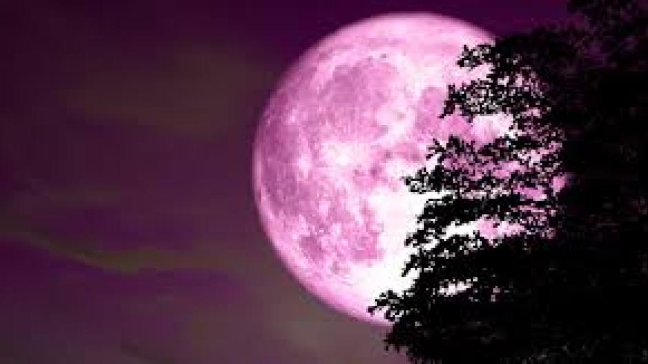 Η Άνοιξη υποδέχεται απόψε το Ροζ Φεγγάρι