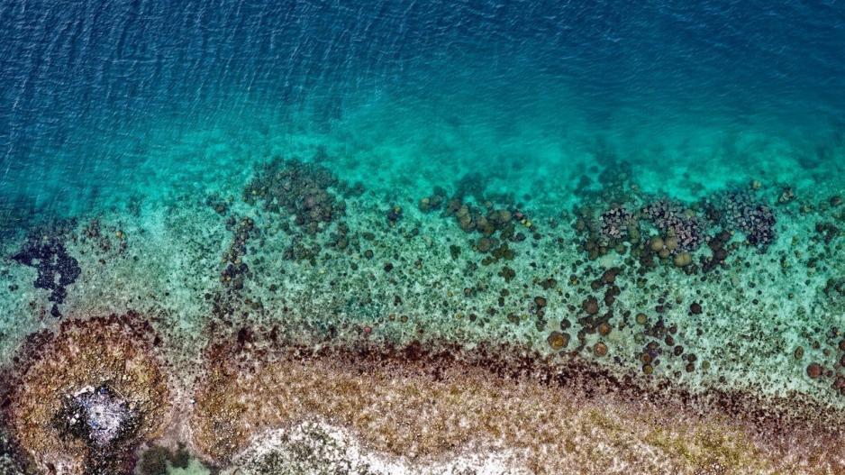 Αν υλοποιηθεί η προτροπή #potavristou, οι ακτές μας θα καθαρίσουν