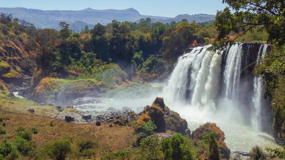 Ανακαλύφθηκε ιερό δάσος στην Αιθιοπία