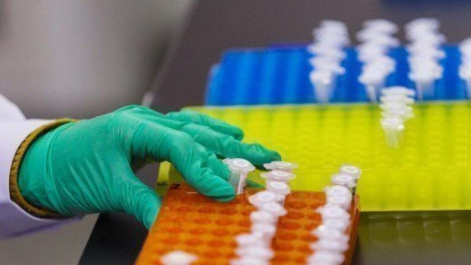 DNA με 8 «γράμματα» του γενετικού αλφαβήτου