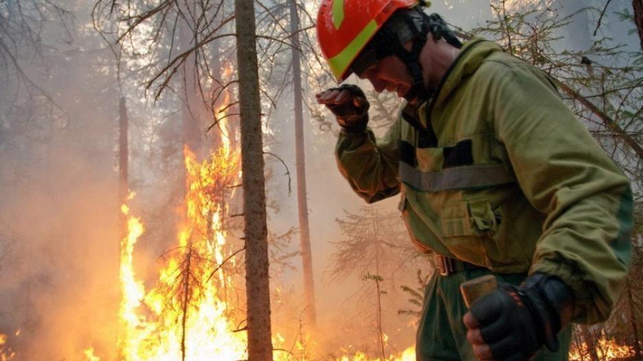 Συγκλονιστικές εικόνες από τις δασικές πυρκαγιές στη Σιβηρία