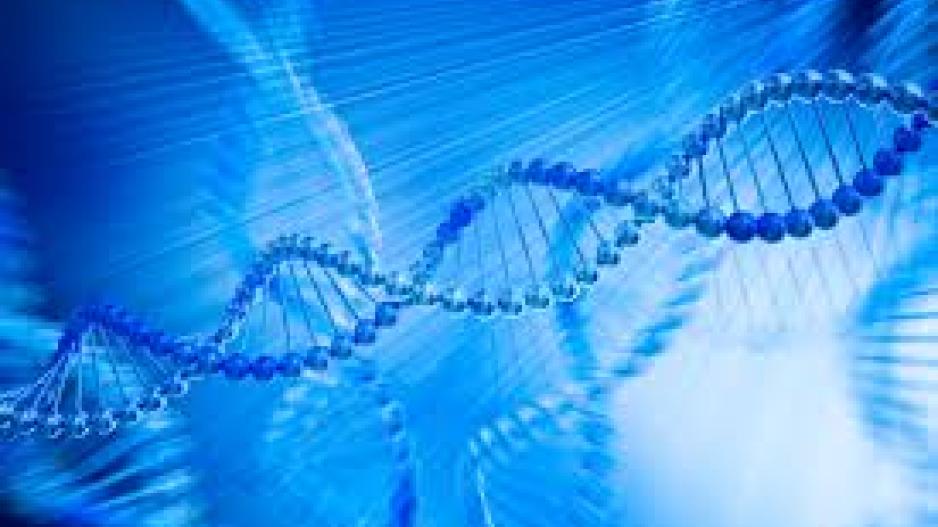 To DNA βοηθά περισσότερους τους λεπτούς