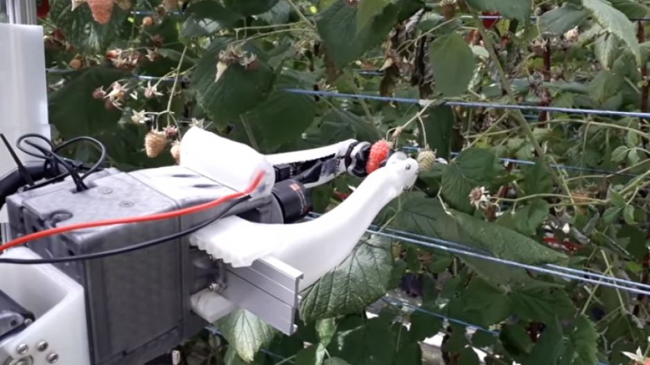 Το ρομπότ που μαζεύει φρούτα γρηγορότερα από εμάς