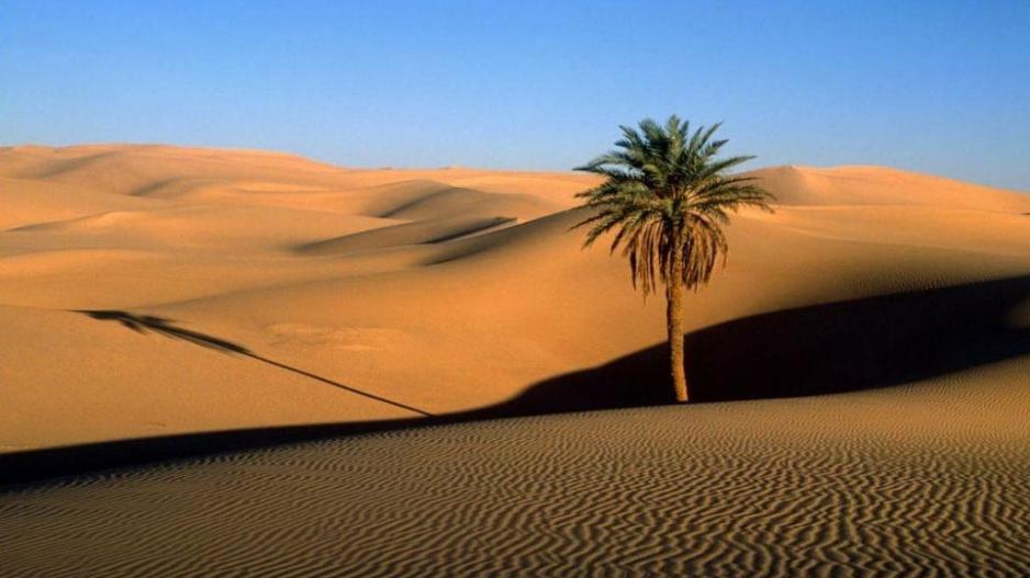Ανανεώσιμες πηγές ενέργειας θα «πρασινίσουν» τη Σαχάρα