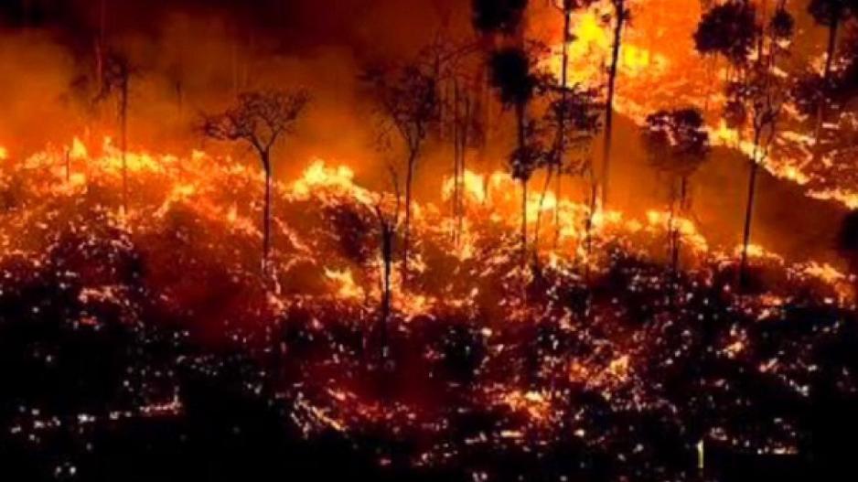 Βραζιλία: Φλέγεται ο Αμαζόνιος- Ρεκόρ πυρκαγιών