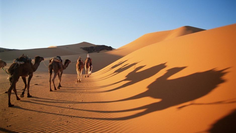 Η έρημος Σαχάρα έχει μεγαλώσει κατά 10% από το 1920