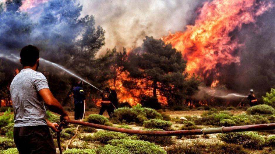Η επόμενη ημέρα για τις επιχειρήσεις που κάηκαν