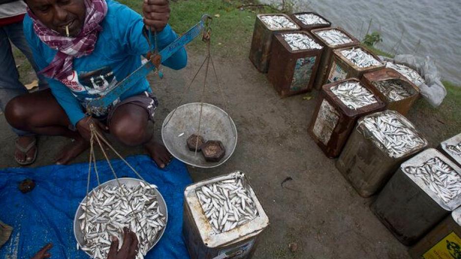 Μπαγκλαντές: Η προστασία ψαριών θέτει σε κίνδυνο τους κατοίκους