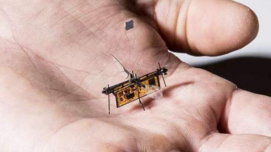 Robofly: Το πρώτο ασύρματο ρομποτικό έντομο