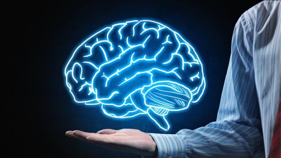 Ερευνητές δημιούργησαν μίνι λειτουργικούς εγκεφάλους
