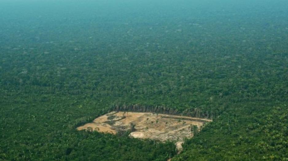 Αύξηση κατά 88% της αποψίλωσης του Αμαζονίου μόνο τον Ιούνιο