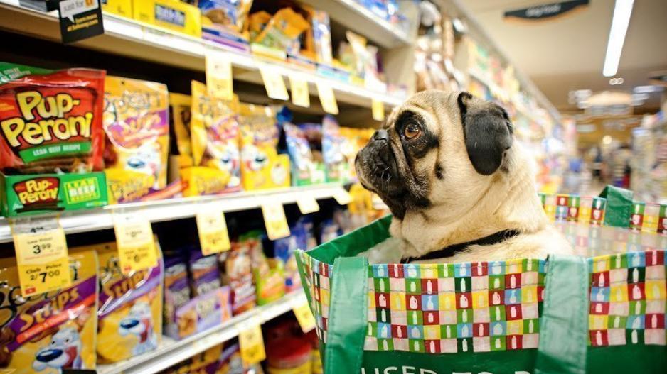 Οι Βρετανοί αδειάζουν τα supermarket και τα pet shops λόγω Brexit