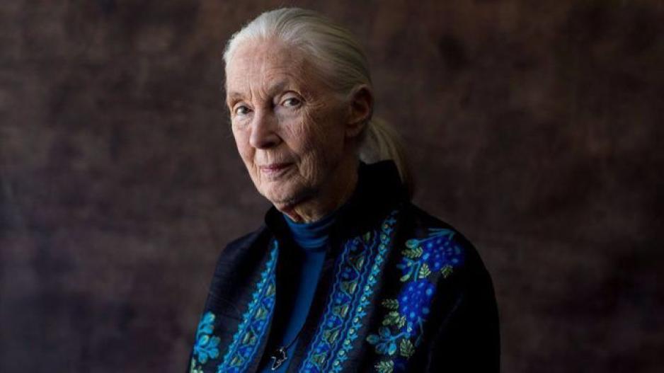 The Great Women: Jane Goodall