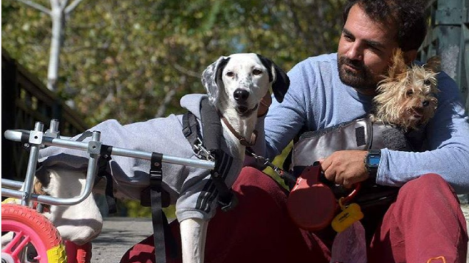 Ο Βασίλης Τζιγκούρας φτιάχνει αναπηρικά αμαξίδια για ζώα